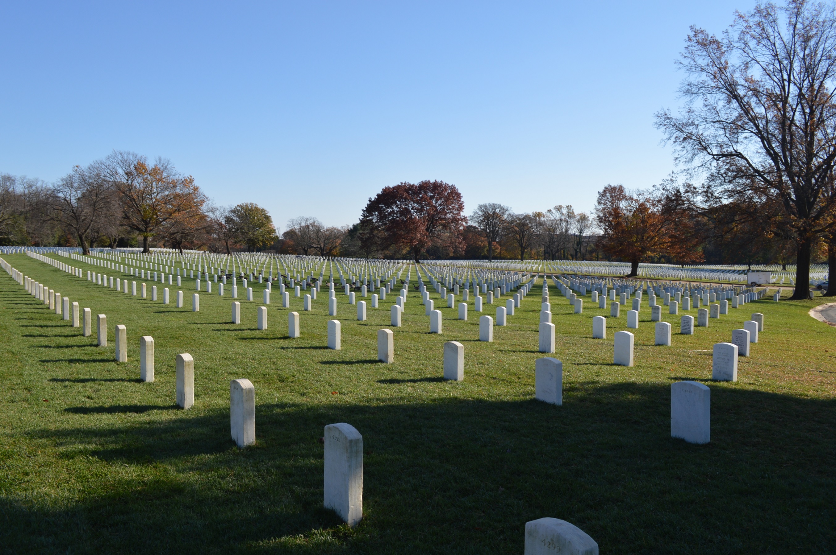 Armistice Day Nov. 11, 2018 at Baltimore National Cemetery (Anthony C. Hayes)
