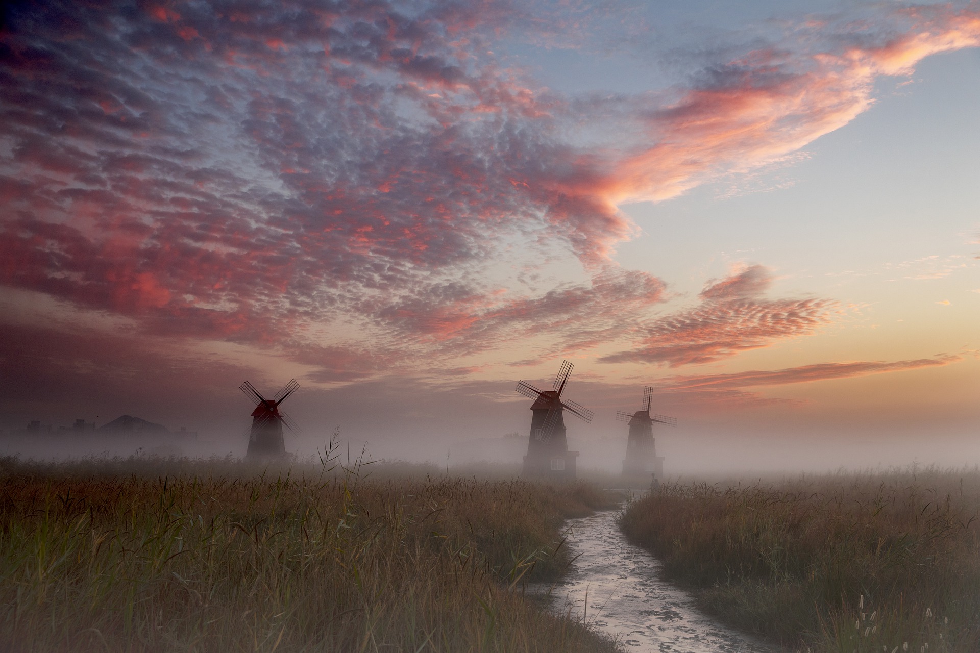 The Impossible Dream_windmills: Image by charlie min kim from Pixabay